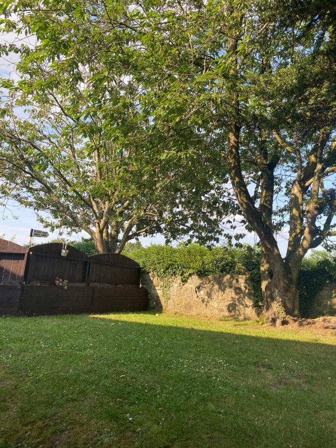 North Lodge Self Contained Guest Accommodations Kilkea Exterior foto